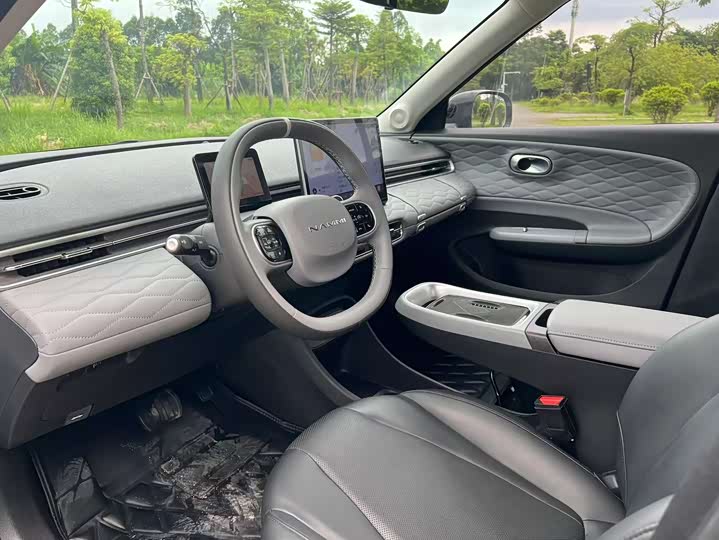 Фото 9 - Dongfeng Nammi 01