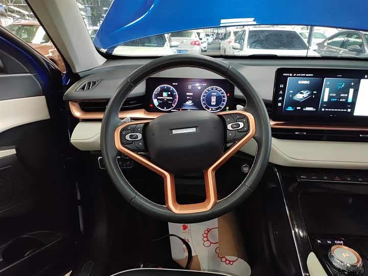 Фото 11 - Haval H6