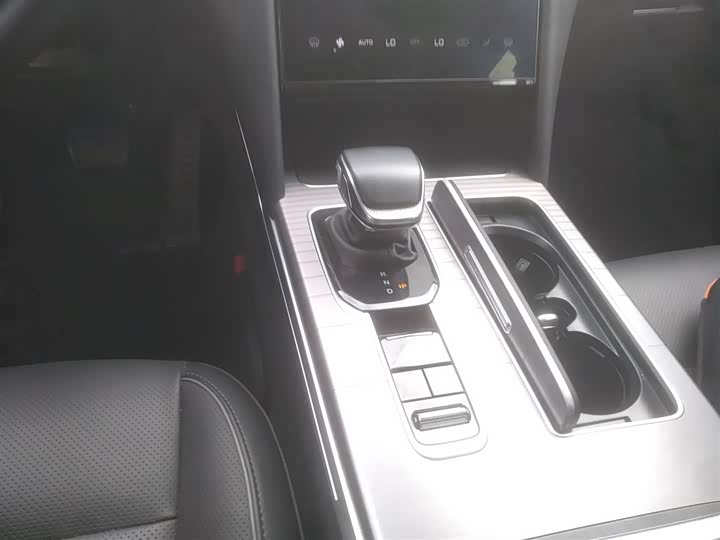 Фото 14 - Hongqi HS7 Hybrid