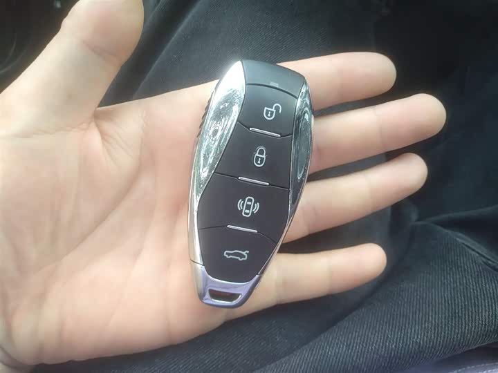 Фото 9 - Hongqi HS7 Hybrid