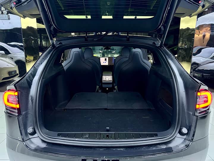 Фото 14 - Tesla Model X