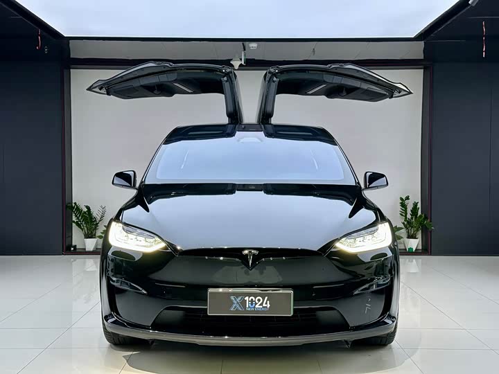 Фото 2 - Tesla Model X