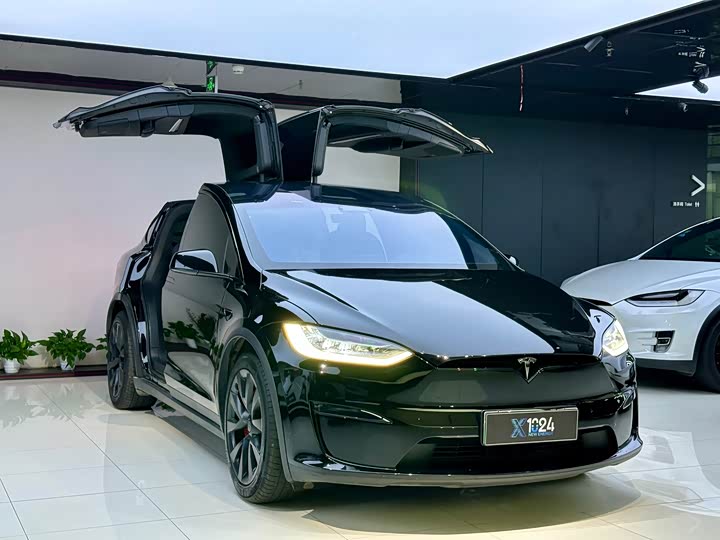 Фото 3 - Tesla Model X