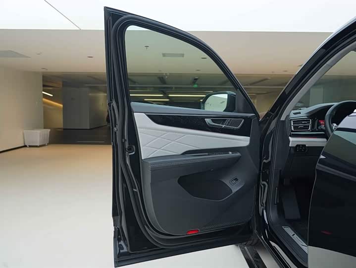 Фото 17 - Volkswagen Teramont Pro