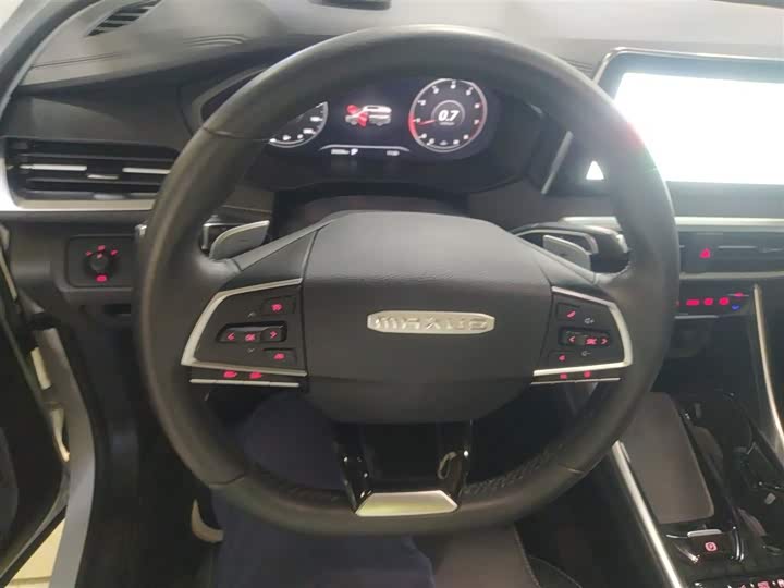 Фото 11 - Maxus G50