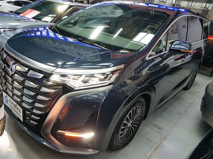 Фото 1 - Denza D9