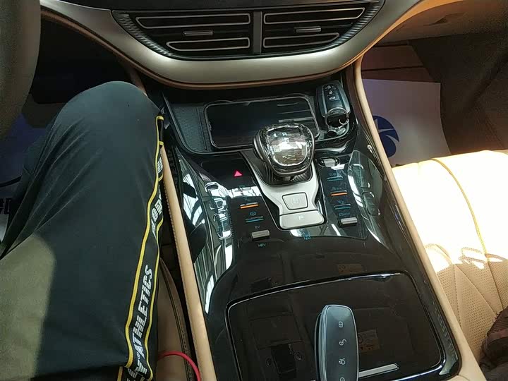 Фото 14 - Denza D9