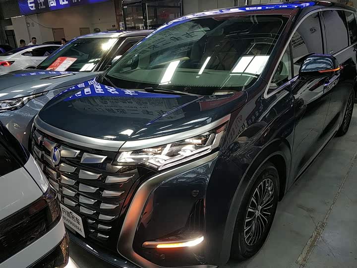 Фото 3 - Denza D9