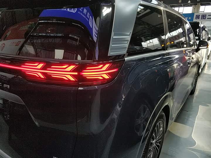 Фото 8 - Denza D9