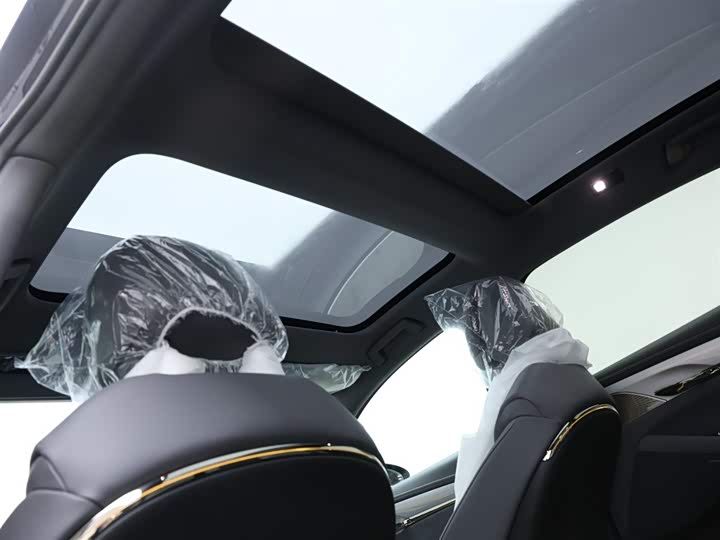 Фото 11 - Voyah Passion