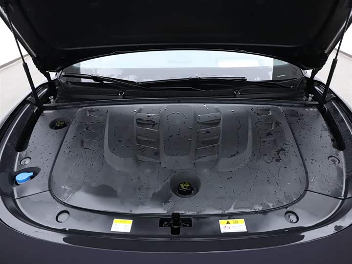 Фото 14 - Voyah Passion