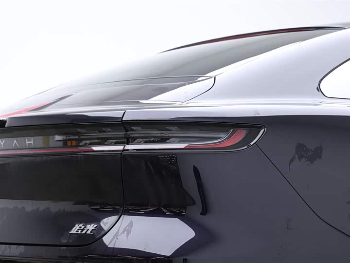 Фото 5 - Voyah Passion