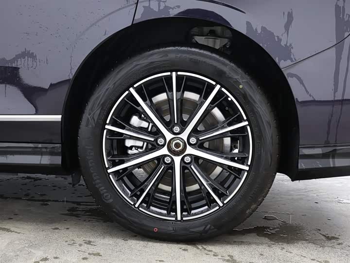 Фото 7 - Voyah Passion