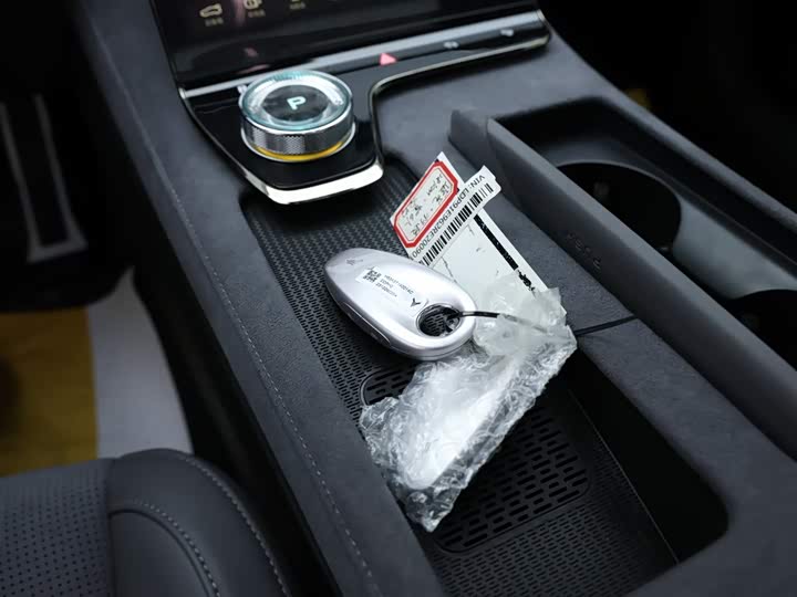 Фото 9 - Voyah Passion