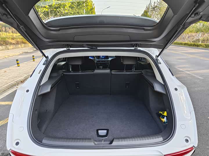 Фото 24 - Buick Velite 6