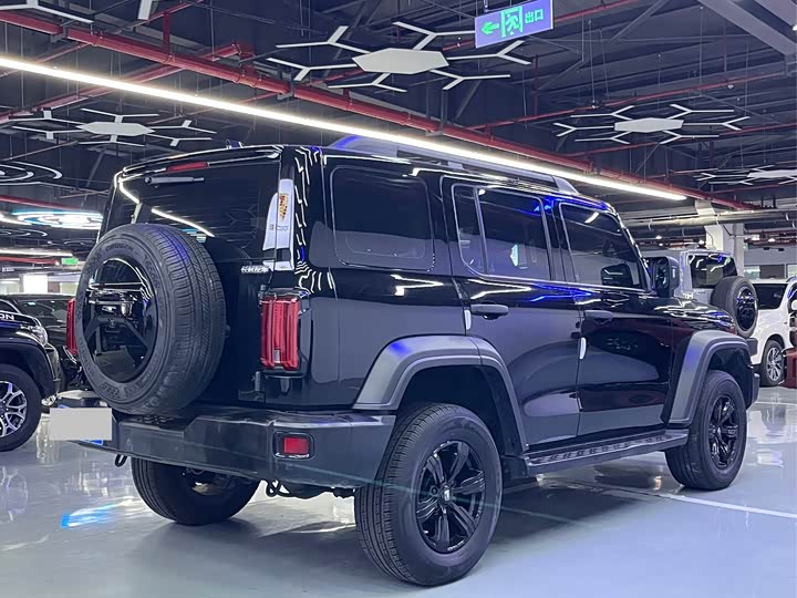 Фото 19 - Tank 300