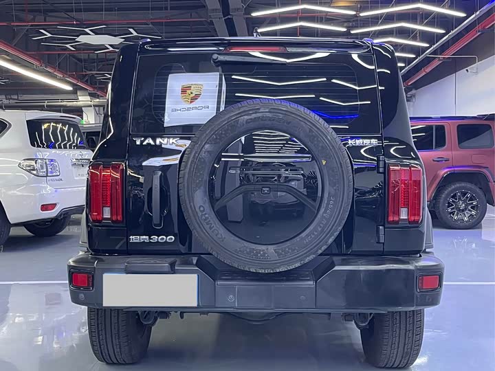 Фото 20 - Tank 300