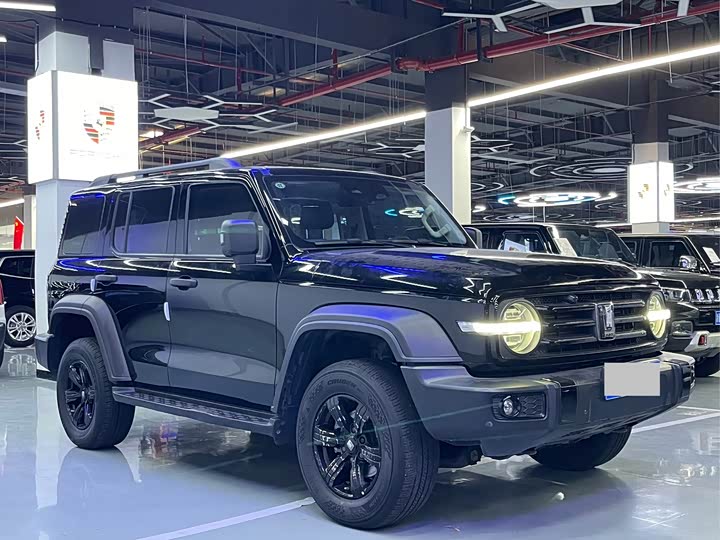 Фото 3 - Tank 300