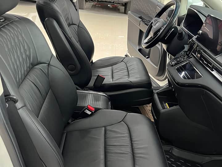 Фото 12 - Honda Elysion