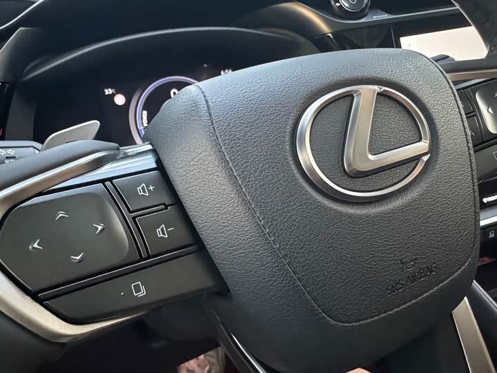 Фото 13 - Lexus RZ