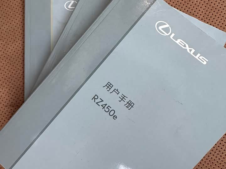 Фото 17 - Lexus RZ