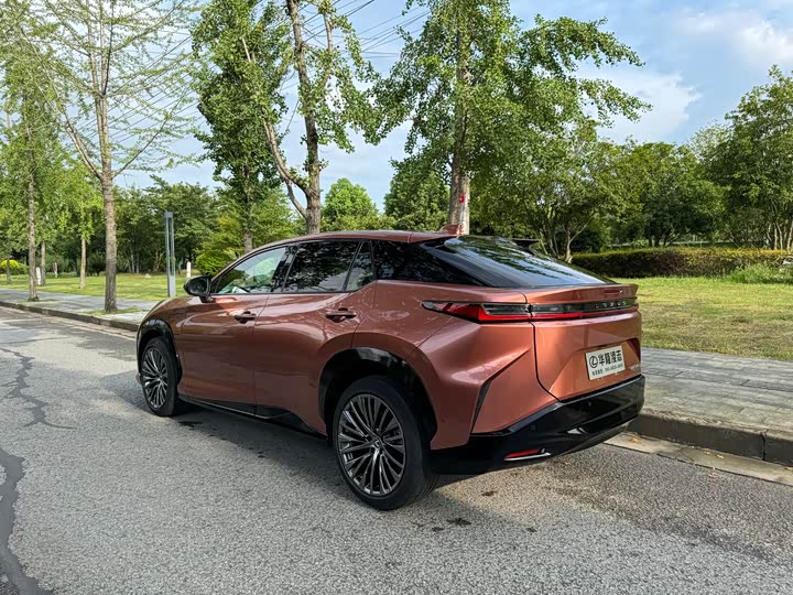 Фото 3 - Lexus RZ