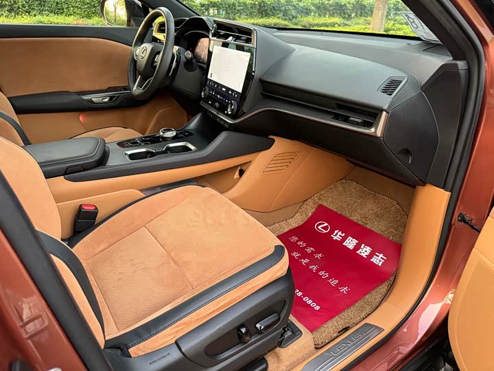 Фото 5 - Lexus RZ