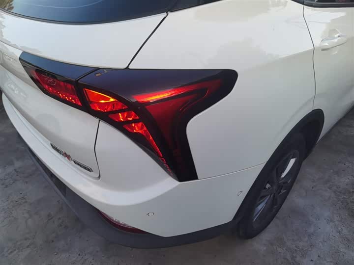 Фото 8 - Hozon V