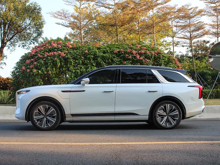 Фото 3 - Hongqi E-HS9