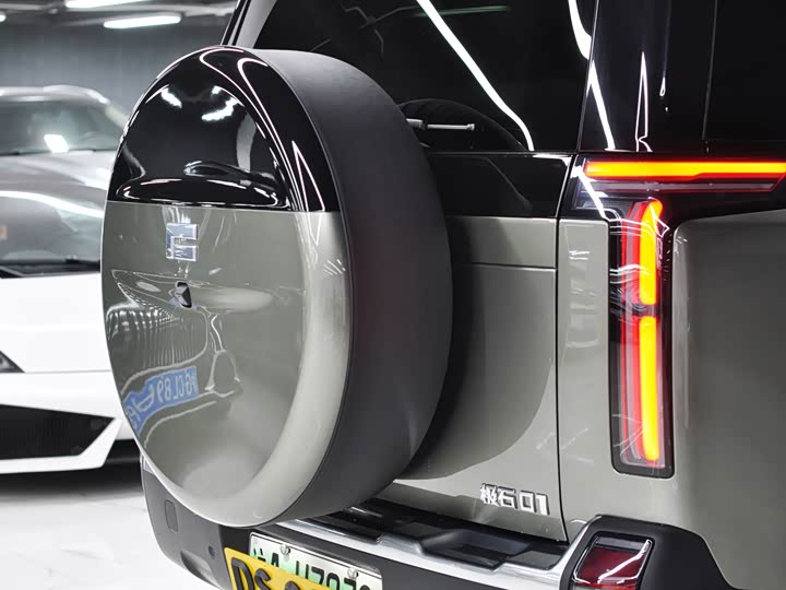 Фото 3 - Rox (Polar Stone) 01