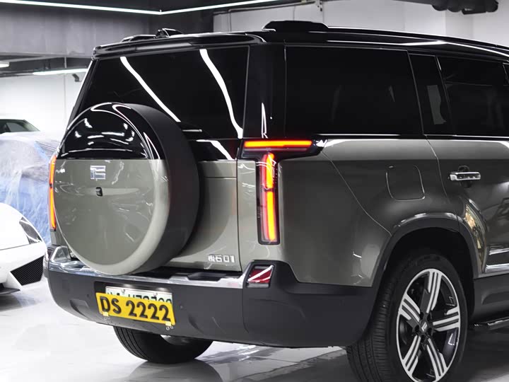 Фото 7 - Rox (Polar Stone) 01