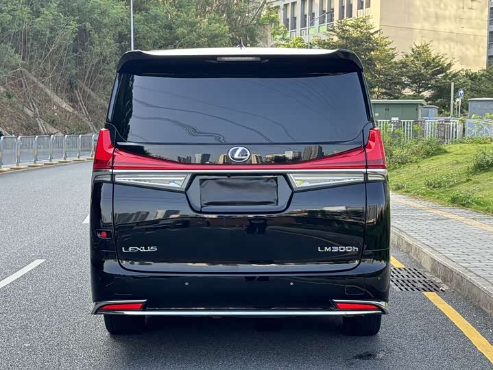 Фото 6 - Lexus LM