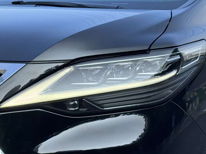 Фото 8 - Lexus LM