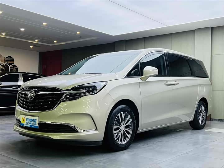 Фото 1 - Buick GL8 ES