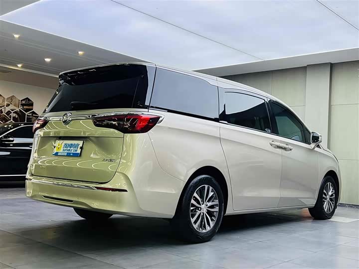 Фото 4 - Buick GL8 ES