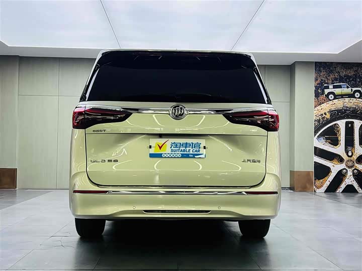 Фото 5 - Buick GL8 ES