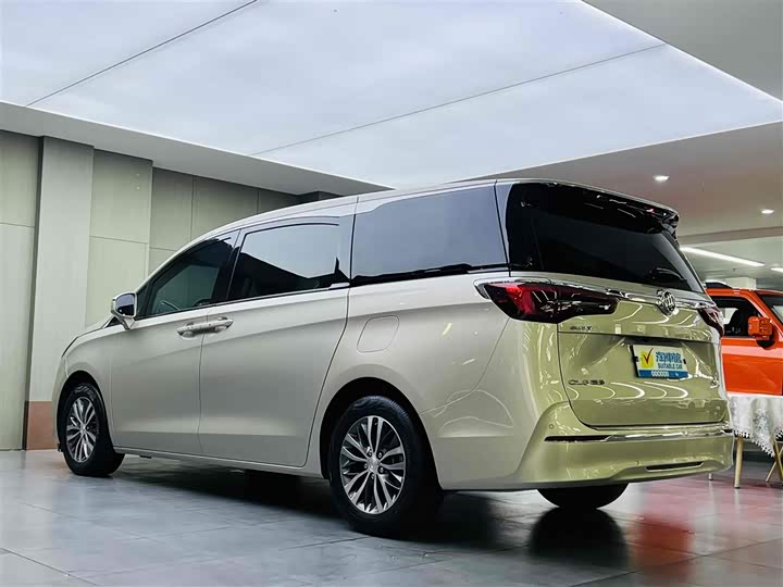 Фото 6 - Buick GL8 ES