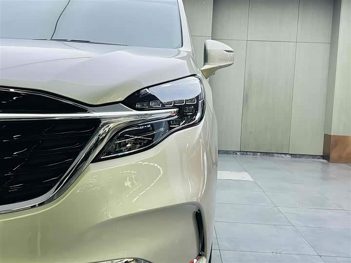 Фото 7 - Buick GL8 ES