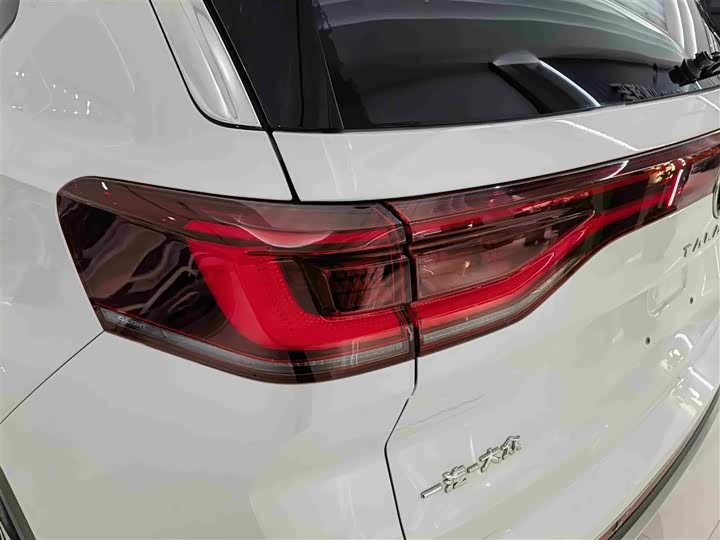 Фото 6 - Volkswagen Talagon