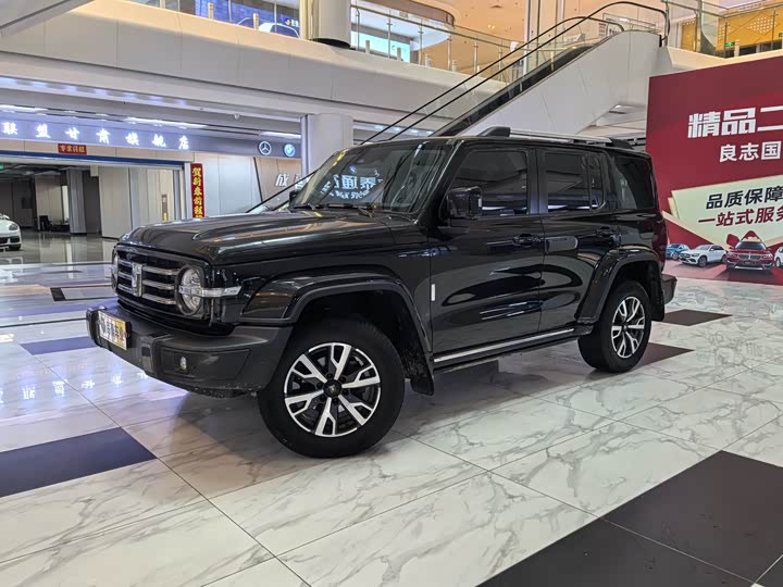 Фото 3 - Tank 300