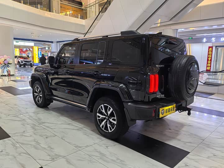 Фото 8 - Tank 300