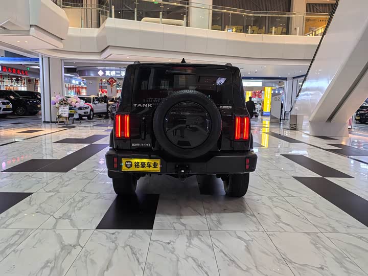 Фото 9 - Tank 300