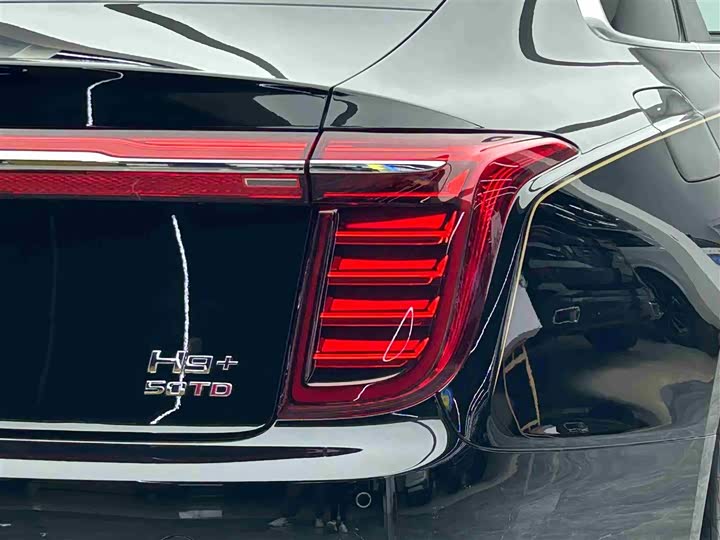 Фото 19 - Hongqi H9