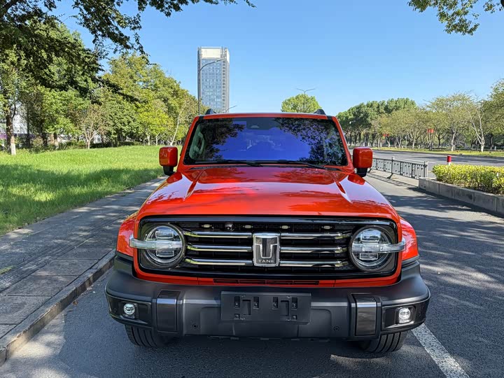 Фото 2 - Tank 300