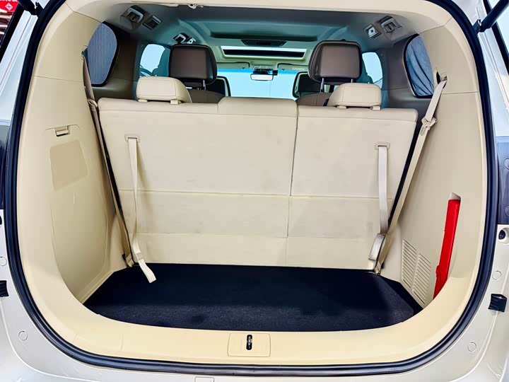 Фото 23 - Buick GL8 ES