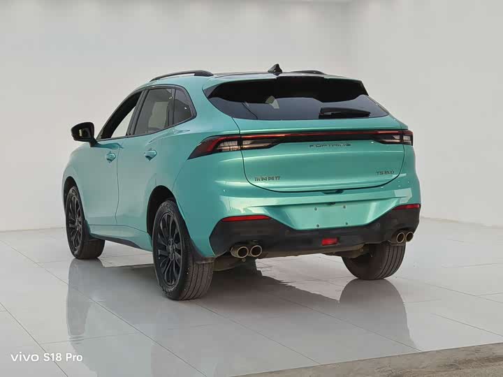 Фото 12 - Dongfeng Forthing T5 EVO