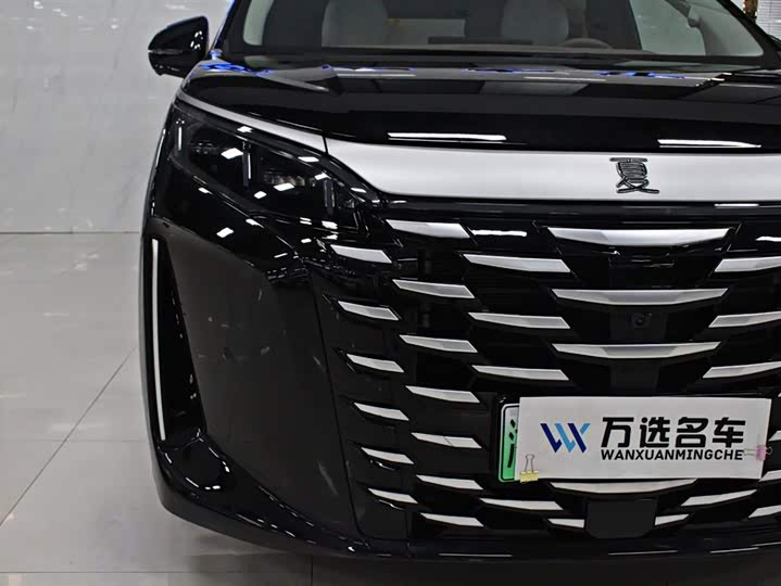 Фото 3 - BYD Xia