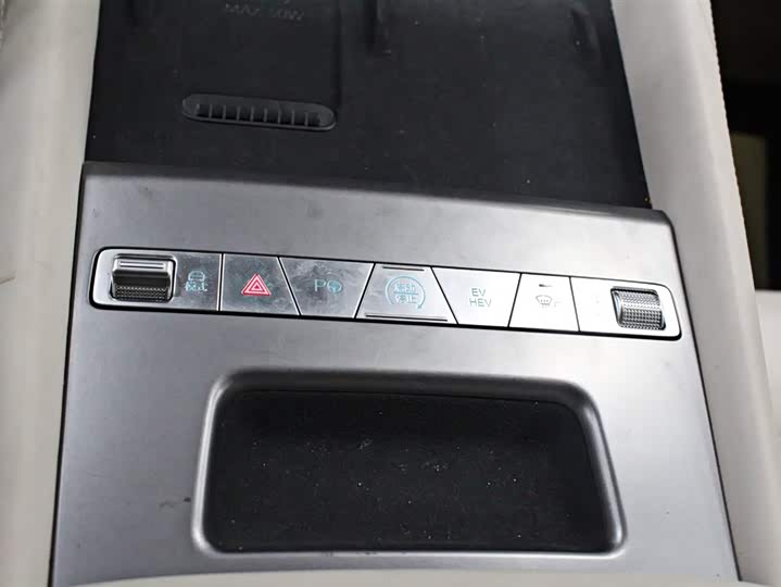 Фото 8 - BYD Xia