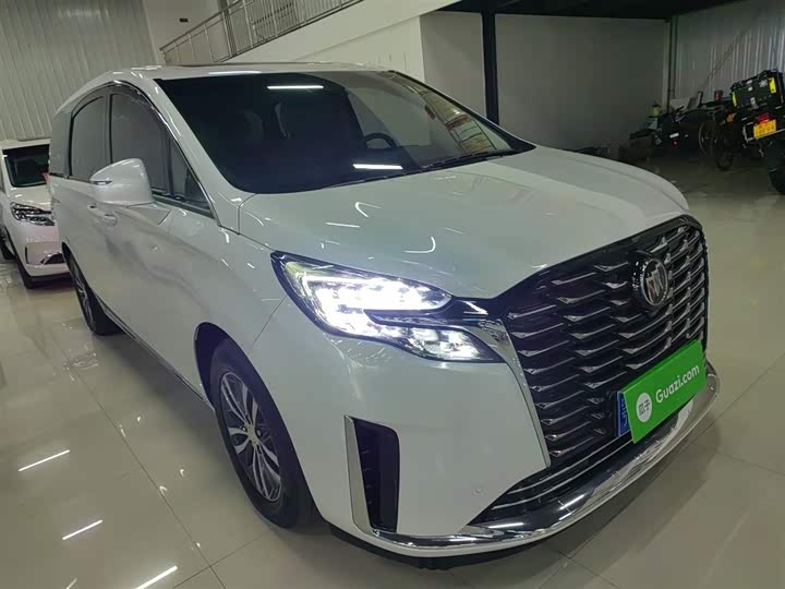 Фото 4 - Buick GL8 ES