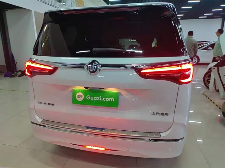 Фото 6 - Buick GL8 ES